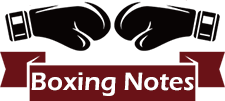 Boxing Notes's Logo