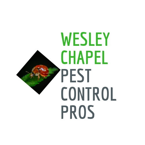 Wesley Chapel Pest Control Pros's Logo