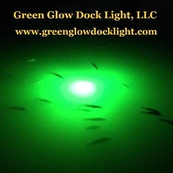 Green Glow Dock Light, LLC's Logo