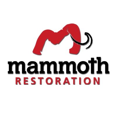 Mammoth Restoration of Arizona's Logo