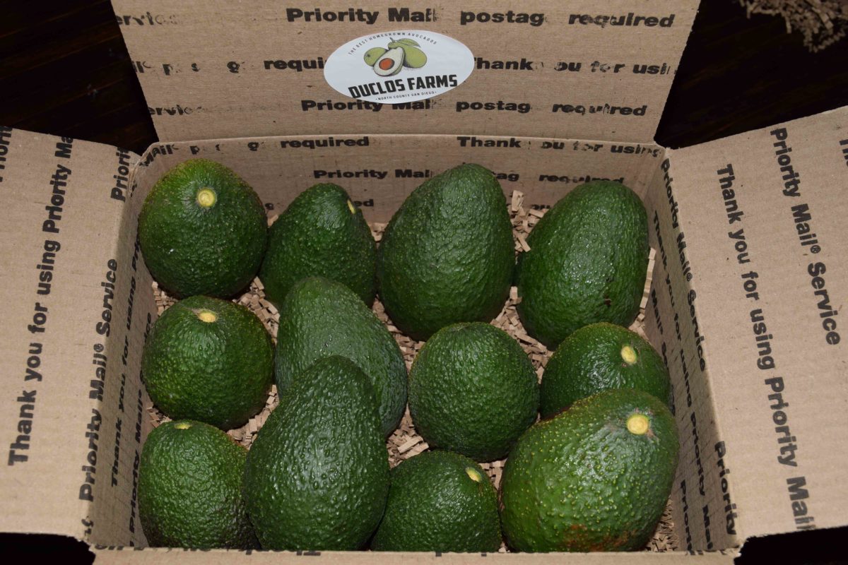 Best Avocados to Buy
