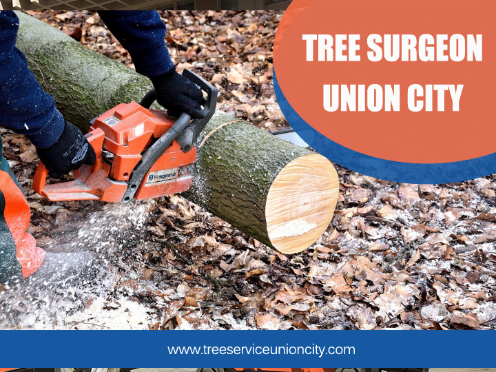 Tree Surgeon Union City