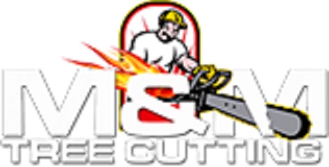Discount Tree Cutting And Removal's Logo