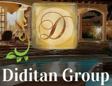 Diditan Group's Logo