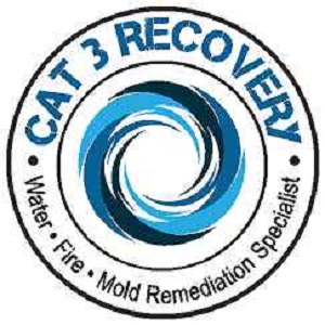 CAT 3 Recovery - Cape Coral's Logo