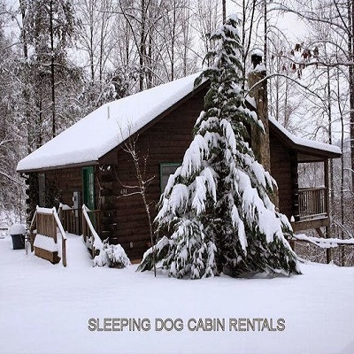 Sleeping Dog Cabin Rentals's Logo