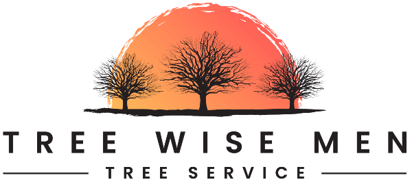 Tree Wise Men LLC's Logo