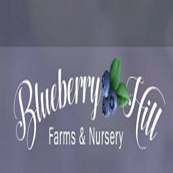 Blueberry Hill Farms & Nursery