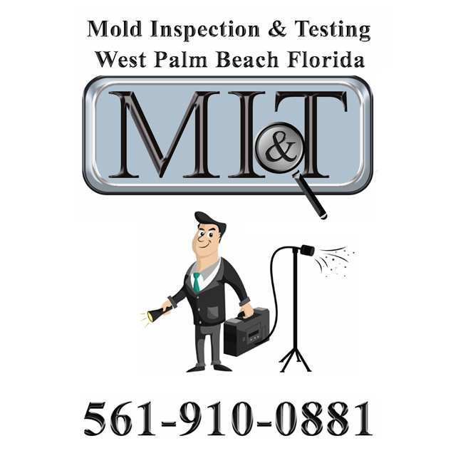 Mold Inspection & Testing West Palm Beach's Logo