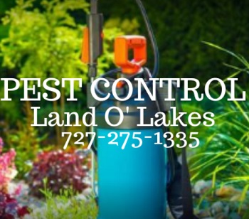 Pest Control Land O Lakes's Logo