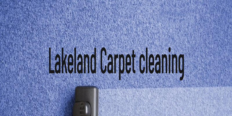 Carpet cleaning Lakeland FL's Logo