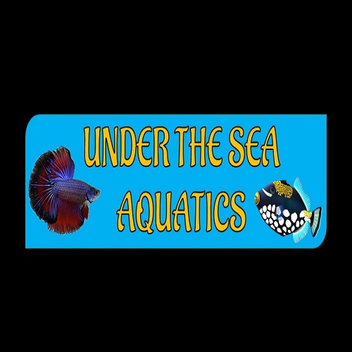 Under The Sea Aquatics's Logo
