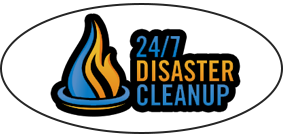 Disaster Cleanup Idaho Falls's Logo