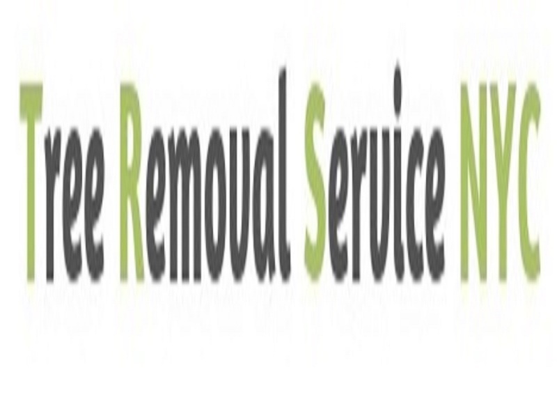 Tree Removal Service Bronx's Logo