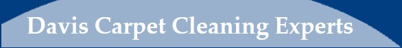 Davis Carpet Cleaning Experts's Logo