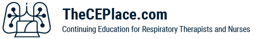 The CE Place's Logo