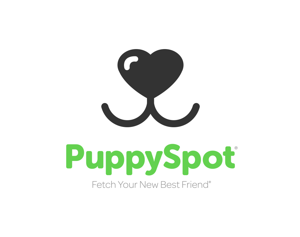 Bulldog Puppy Spot's Logo