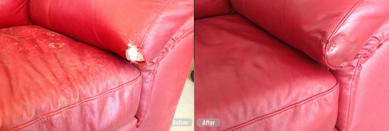 leather furniture pet damage