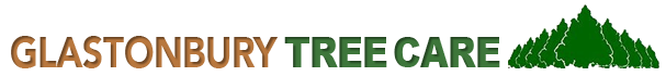 Glastonbury Tree Care's Logo