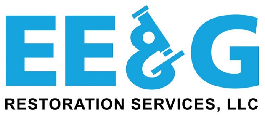 Water Damage Restoration, Fire Damage, Mold Remediation & Removal Tampa, FL's Logo
