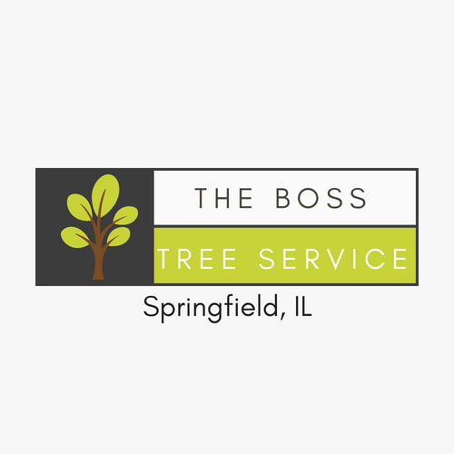Boss Tree Service Springfield IL's Logo