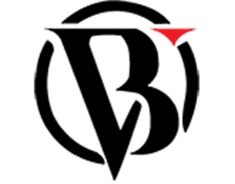 Vigarbiz Media's Logo