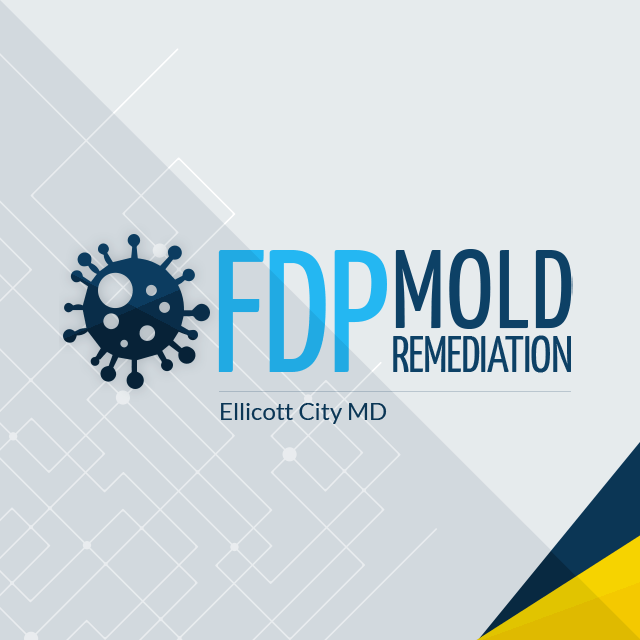 FDP Mold Remediation of Ellicott City's Logo