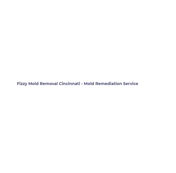Fizzy Mold Removal Cincinnati - Mold Remediation Service's Logo