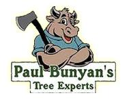 Paul Bunyan's Tree Experts