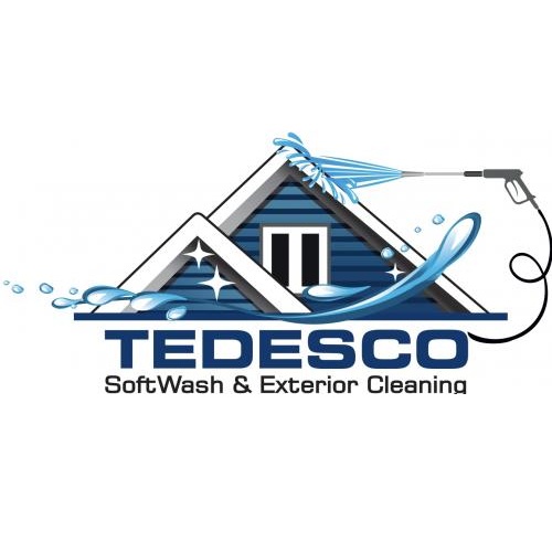 Tedesco Power Washing's Logo