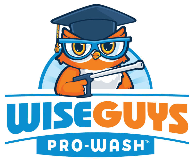 WiseGuys Pro-Wash's Logo