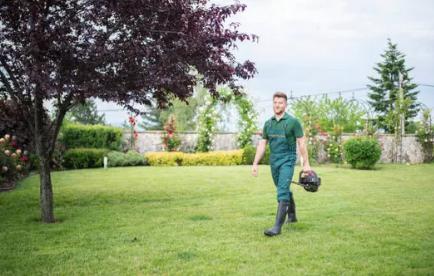 York Landscaping-Lawnmowing-Gardening-Mulching