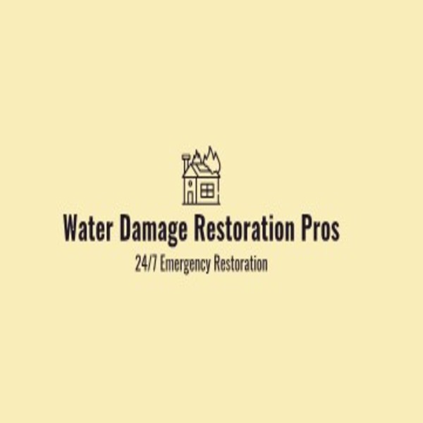 Water Damage Restoration Pros's Logo