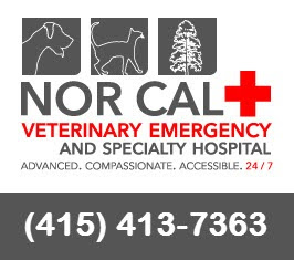 Nor Cal Veterinary Emergency and Specialty Hospital's Logo