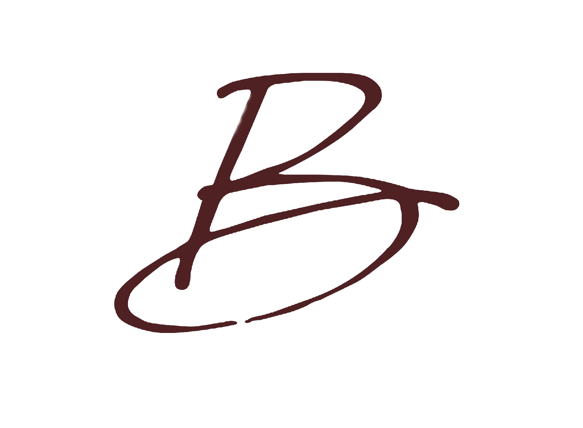 Blyss Chiropractic and Acupuncture's Logo