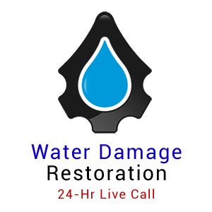 Water Damage Restoration Troy LLC's Logo