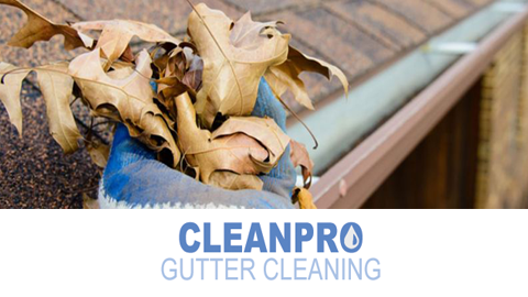 Clean Pro Gutter Cleaning Humble's Logo