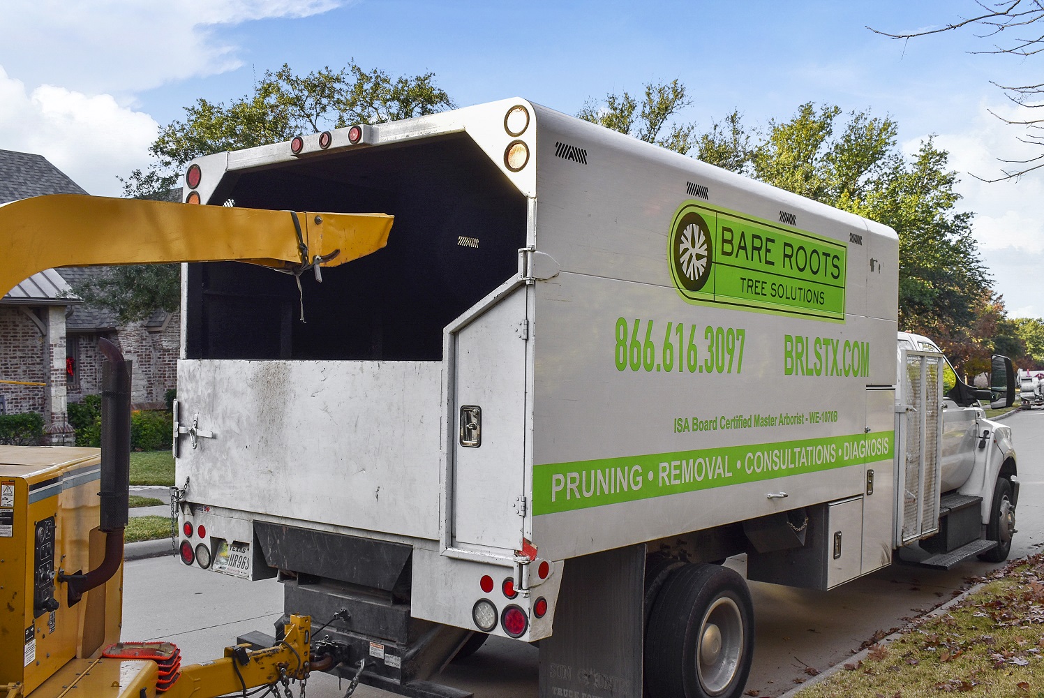 Master tree removal services in Dallas, TX