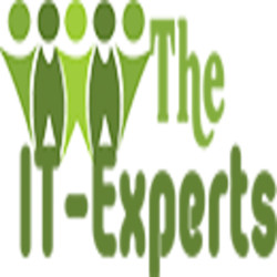 The IT Experts's Logo