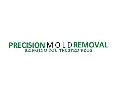 Precision Mold Removal Orlando's Logo