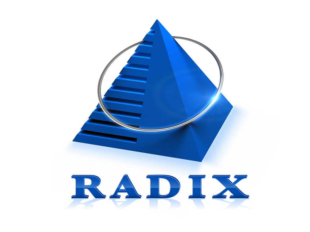 Radixweb - IT Outsourcing and Custom Software Development Company's Logo