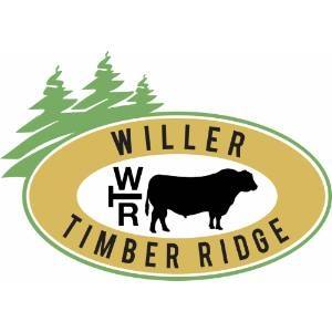 Willer Timber Ridge's Logo