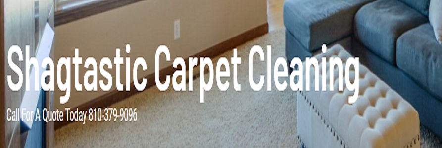 Shagtastic Carpet Cleaning's Logo