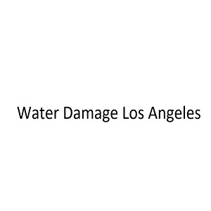 Water Damage Los Angeles's Logo