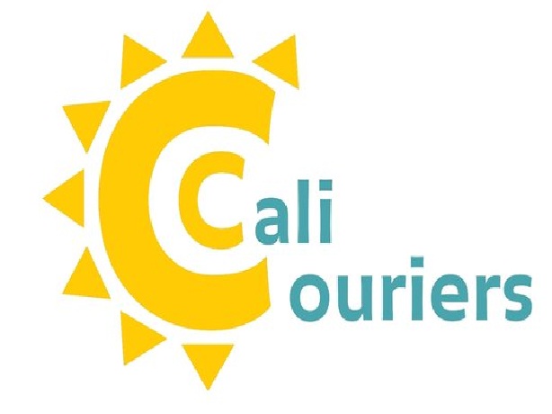 Orange County Courier Service's Logo