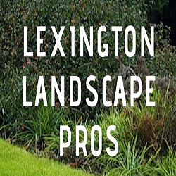 Lexington Landscape Pros