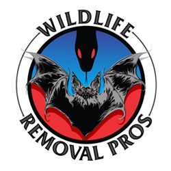 Wildlife Removal Pros