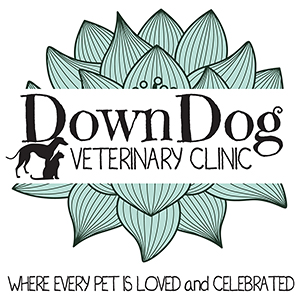 DownDog Veterinary Clinic's Logo