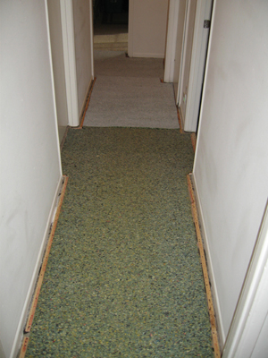 Flood Damaged Carpet
