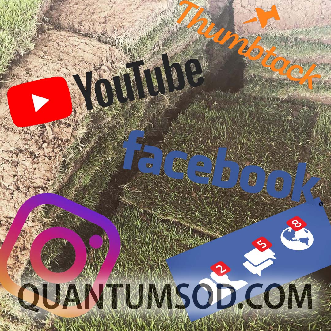 Quantum Sod's Logo